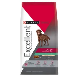 Adult Chicken And Rice