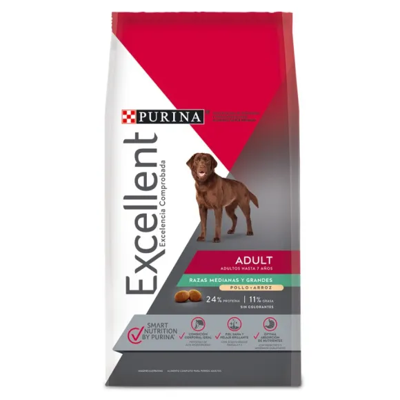 Adult Chicken And Rice