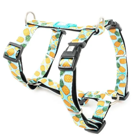 Arn S Sweet Pineapple