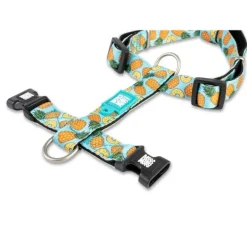 Arn S Sweet Pineapple