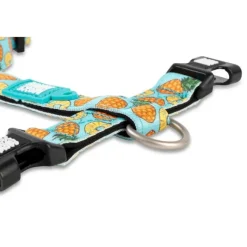 Arn S Sweet Pineapple