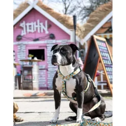 Arn S Sweet Pineapple