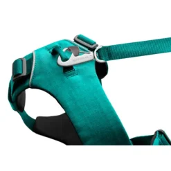 Arnes Front Range - Turquesa