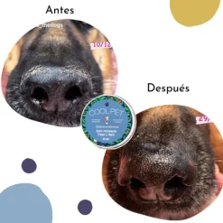 B Lsamo Hidratante De Karite