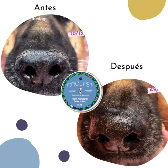 B Lsamo Hidratante De Karite