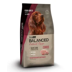 Balanced Natural Recipe Cerdo