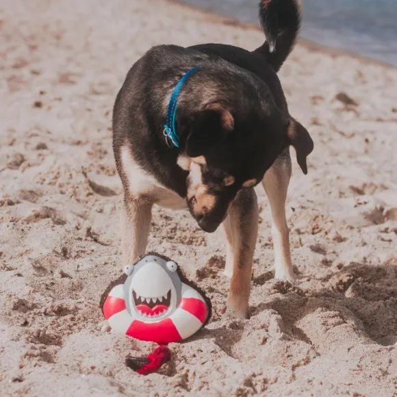 Bandana Frenzy The Shark