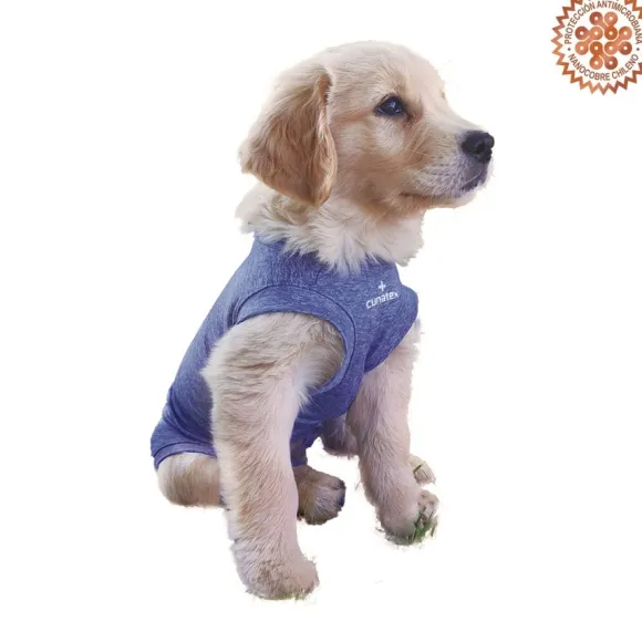 Body Azul Con Nanocobre Para Perros