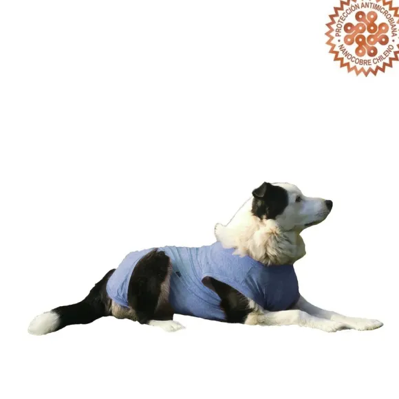 Body Azul Con Nanocobre Para Perros
