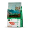 Bravery Chicken Kitten 2 Kg Alimento Para Gato