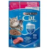 Cat Chow Gatitos Carne Alimento H Medo Para Gatos