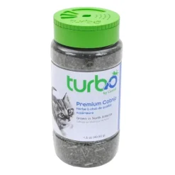 Catnip Bottle, No Color