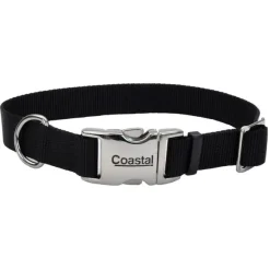 Collar Adjustable Dog With Metal Buckle, Black