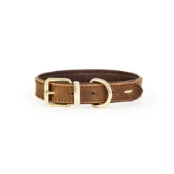 Collar Cuero Caf - Ezydog