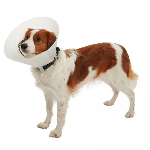 Collar Isabelino Buster