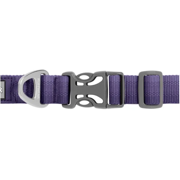 Collar Reflectante Front Range - Purpura