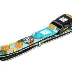 Collar Sweet Pineapple Con Smart Id