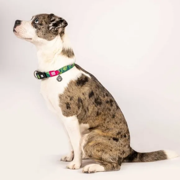 Collar Tropical Con Smart Id