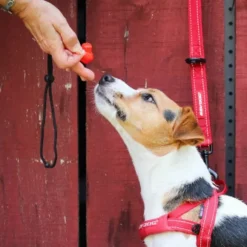 Command Clicker - Ezydog