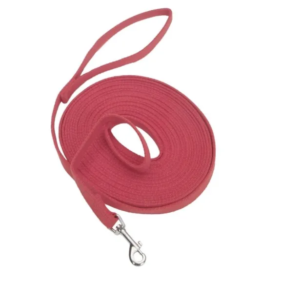 Correa Cotton Web Dog Training, Red