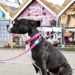 Correa Magical - 1.2 Metros