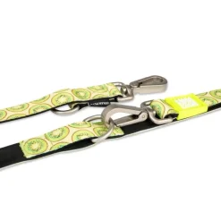 Correa Multifuncional Kiwi - 2 Metros