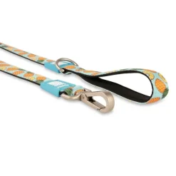 Correa Sweet Pineapple - 1.2 Metros