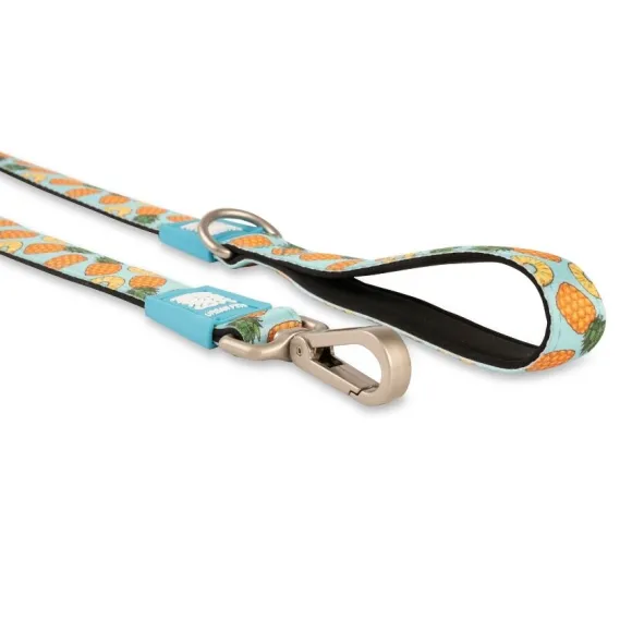 Correa Sweet Pineapple - 1.2 Metros