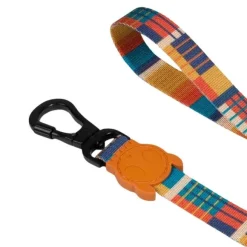 Correa Wes Para Perros