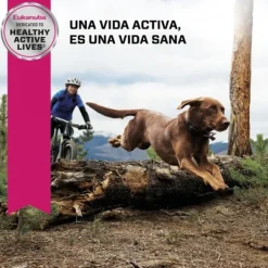 Eukanuba Adulto Large Alimento Para Perro