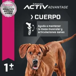 Eukanuba Adulto Large Alimento Para Perro