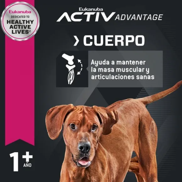 Eukanuba Adulto Large Alimento Para Perro