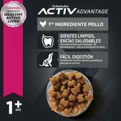 Eukanuba Adulto Large Alimento Para Perro