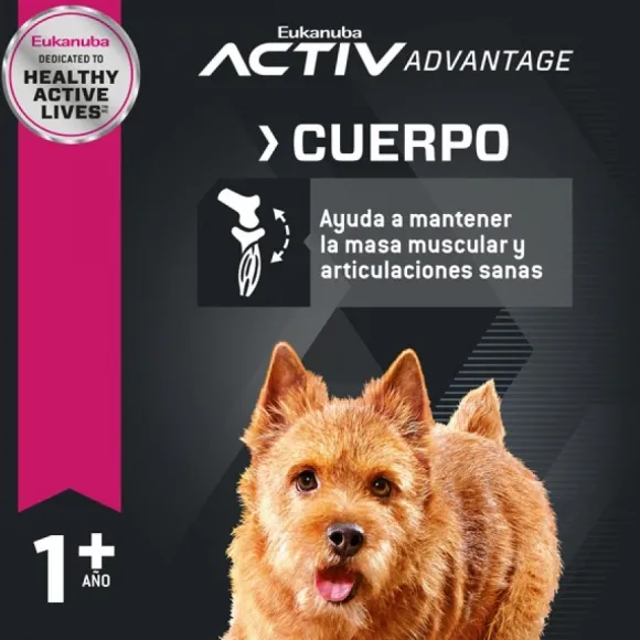 Eukanuba Adulto Small Alimento Para Perro