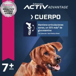 Eukanuba Senior Large Alimento Para Perro