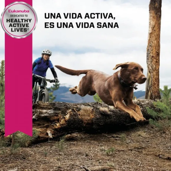 Eukanuba Senior Large Alimento Para Perro