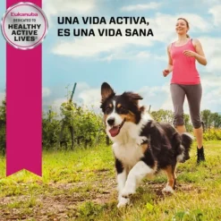 Eukanuba Senior Medium Alimento Para Perro