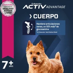 Eukanuba Senior Small Alimento Para Perro