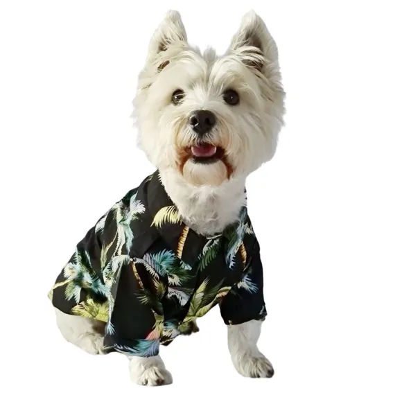 Guayabera Para Mascota Anga Roa