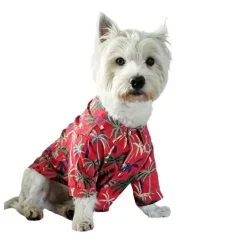Guayabera Para Mascota Tokio