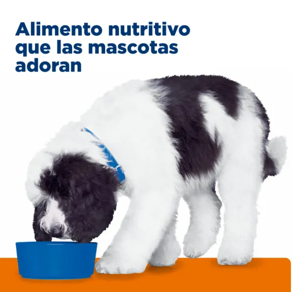 Hills Canine C/D Urinary Care