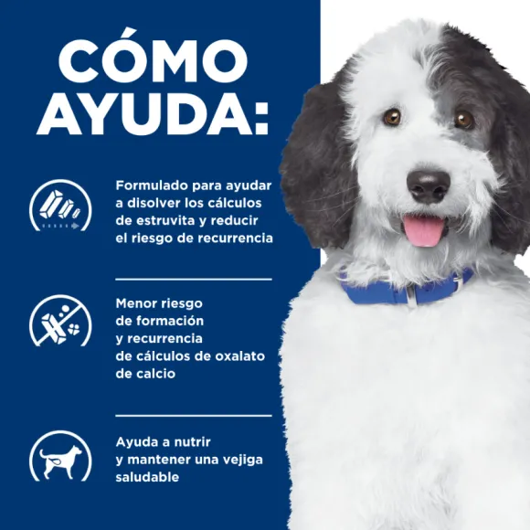 Hills Canine C/D Urinary Care