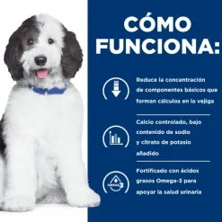 Hills Canine C/D Urinary Care