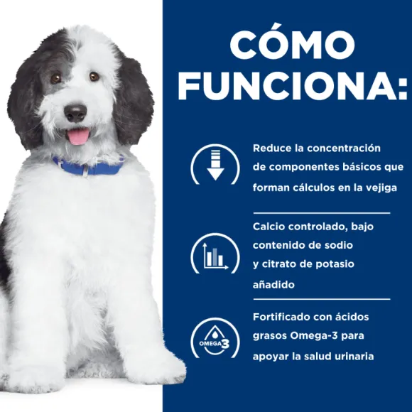 Hills Canine C/D Urinary Care