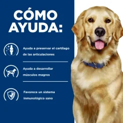 Hills Canine J/D Joint Care