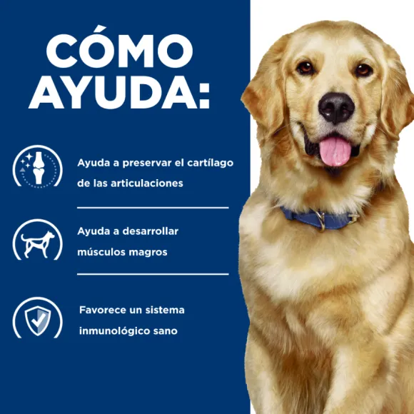 Hills Canine J/D Joint Care