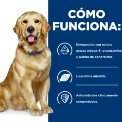 Hills Canine J/D Joint Care