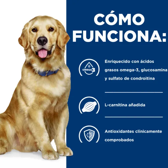 Hills Canine J/D Joint Care