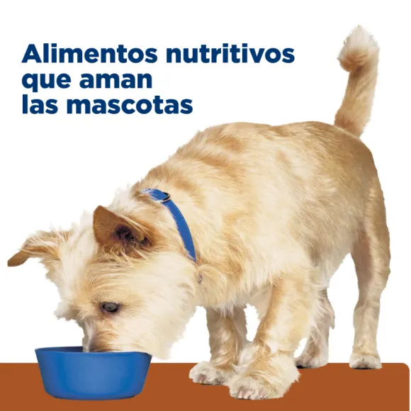 Hills Canine K/D Kidney Care