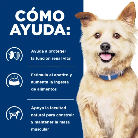 Hills Canine K/D Kidney Care